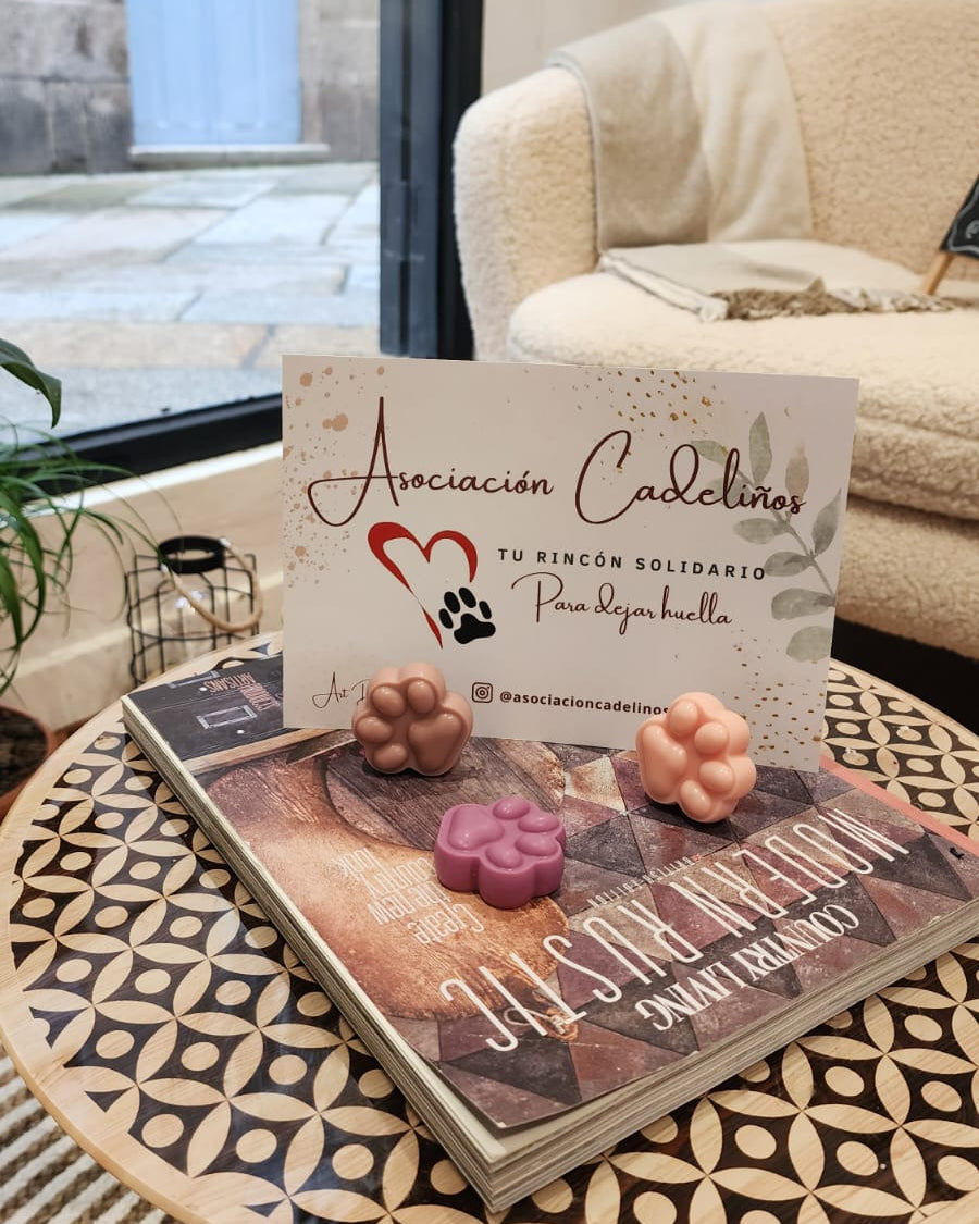 Huella solidaria ambientador