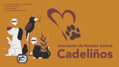 Huella solidaria ambientador