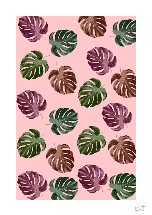 Monstera